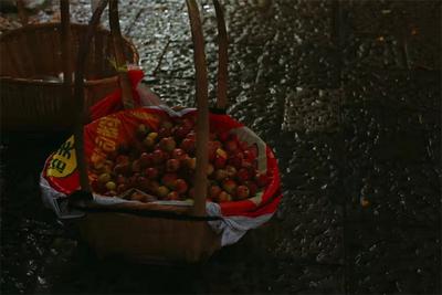 清明｜有一种美，叫雨中的红河