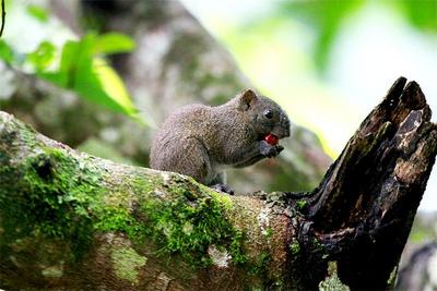一起“森”呼吸，徜徉在红河的“只此青绿”中！