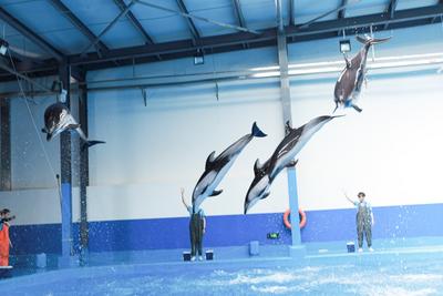 五一游玉溪｜来抚仙湖寻找你最爱的度假方式！