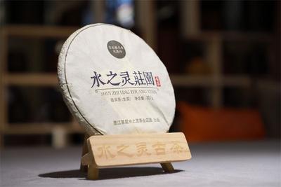 “探秘”省级非遗工坊：山中好茶水之灵！
