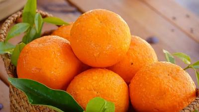 楚雄永仁丨高原特色错季精品水果·沃柑采摘季系列活动精彩纷呈