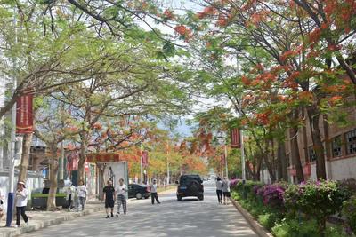 玉溪市易门县“绿汁铜韵·时光小镇”——最美国家工业遗产2023年文化旅游主题系列活动火热开启