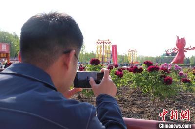 第32届菏泽国际牡丹文化旅游节开幕 助“中国牡丹之都”“香飘世界”