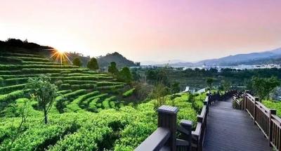 温度临沧｜错过了临沧的泼水节 怎能不来“摸你黑”狂欢呢