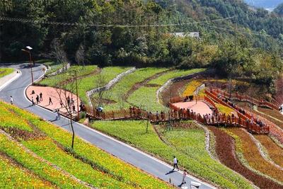 畅游普洱·悠享五一丨观光休闲、旅居康养好去处，景东亚热带植物园今日正式开园！