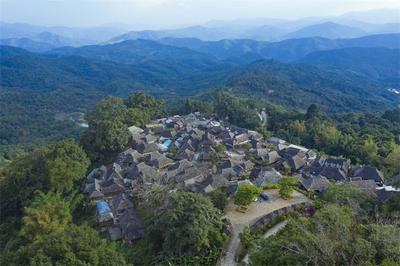 景迈山“五一茶山行”旅游攻略出炉，多项特惠活动等你来体验！