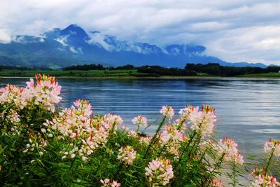 半城青山 满城阳光，温度临沧等您来！