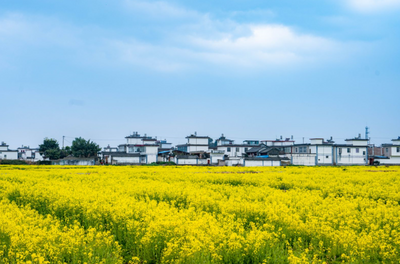 大理市排名春季最受游客喜爱的乡村旅游目的地TOP3