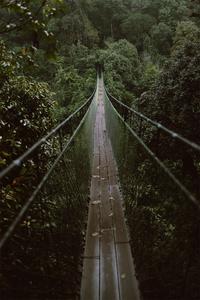 重磅！红河文旅最新形象宣传片明天上线