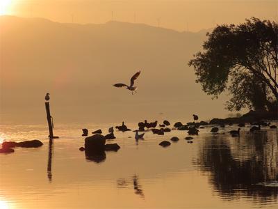 有一种叫云南的生活丨遇见星云湖，遇见日出