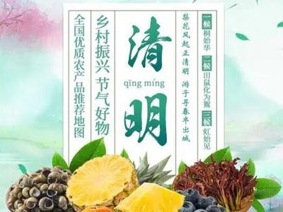 清明好物地图出炉！来云南一定要尝一尝它