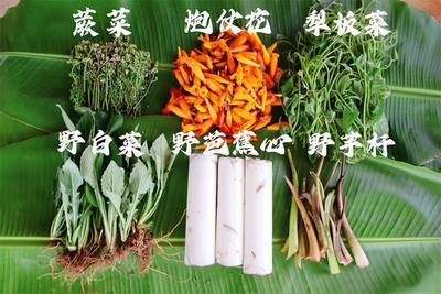 有一种叫云南的生活丨来同心镇踏青食野菜，感受舌尖上的春天！