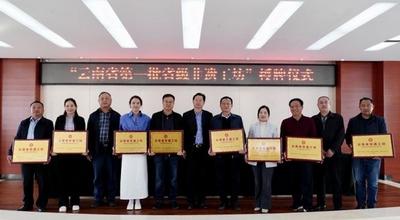 “探秘”省级非遗工坊：山中好茶水之灵！
