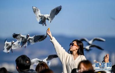 从“有一种叫云南的生活”出圈看文旅新机