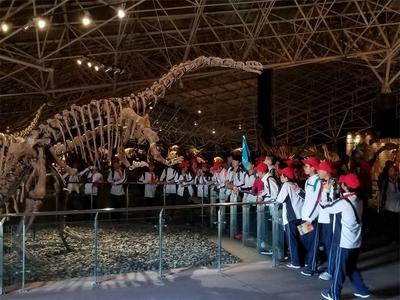 昆明国旅坚持打磨研学旅行好产品