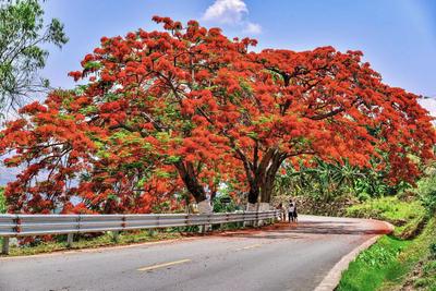 五一游玉溪｜跟着这条获文旅部推荐的乡村旅游线路，一起去赏花品民俗！
