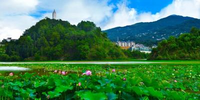 临沧乡村旅游美丽风景变美好“前景”
