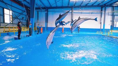 精彩继续！全国主流媒体采风团踏上玉溪旅游精品线路——“休闲玉溪·研学之旅”