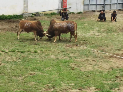 这个“五一”我家“大窝子”是这样过的，你来了吗？