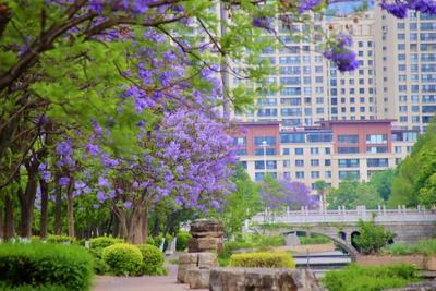 5·19 游玉溪丨寻找夏天的颜色