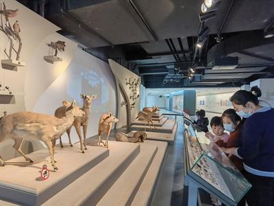 “中国旅游日”上海60余家景区门票半价惠民