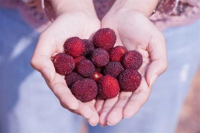 5·19中国旅游日丨来红河，做生活家