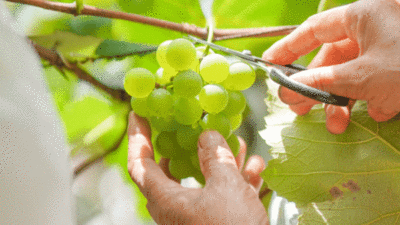 红河州2023年“5·19中国旅游日”活动来了！