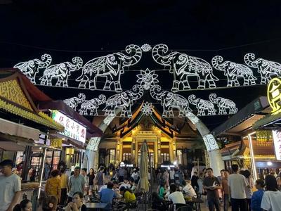 95.46万人次！游客在德宏旅游直呼“过瘾”