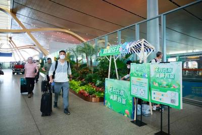 “五一”假期云南省内机场运送旅客92.6万人次