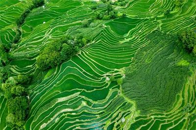 去红河做生活家 | 去山林吸氧，到海边吹风，在红河的怀抱中享夏日悠然