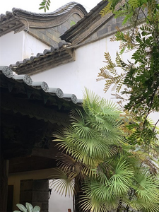 【探店】啡粋·建水古城的宝藏咖啡馆