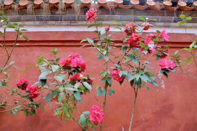 5·19游玉溪丨跟随徐霞客的脚步，畅游好山好水好风光！