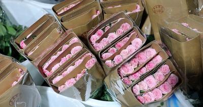 有一种叫云南的生活·云品｜用“云花”表达爱 云南鲜花乘高铁畅销全国