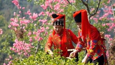 去红河做生活家 | 唱歌跳舞品美食 来红河天天有节过