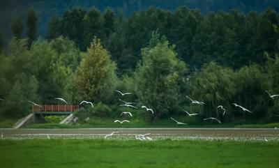 有一种叫云南的生活·体验 | 亲子研学，一定不能错过洱源
