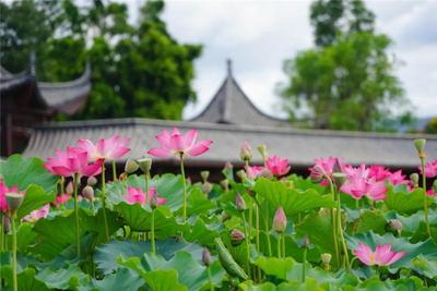 去红河做生活家 | 去山林吸氧，到海边吹风，在红河的怀抱中享夏日悠然