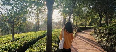 遇见中华普洱茶博览苑，你会爱上这样的清晨和黄昏……