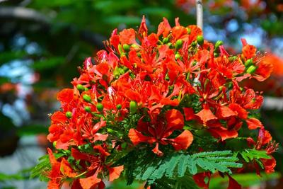 五一游玉溪丨暮春浅夏，赴一场花海之约！