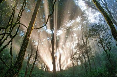 5·19中国旅游日 炎炎夏日，来“春城”屏边吸氧
