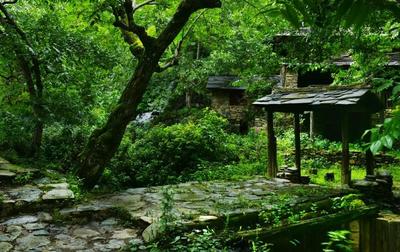 临沧乡村旅游美丽风景变美好“前景”