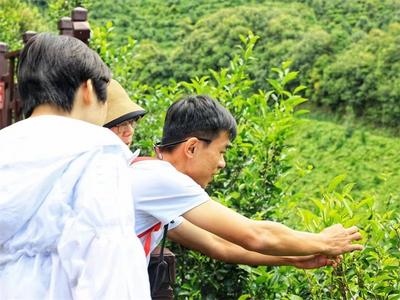点赞！普洱1人拟入选“全国青年非遗传承人扶持计划”2023年度扶持对象名单