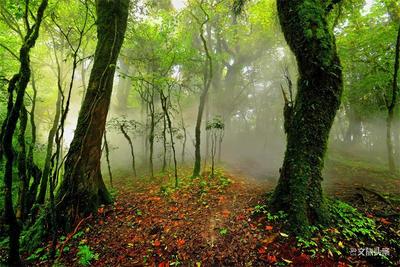 5·19 游玉溪丨寻找夏天的颜色