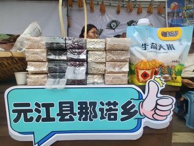 节庆玉溪丨中国·元江第二十届金芒果文化旅游节启幕！