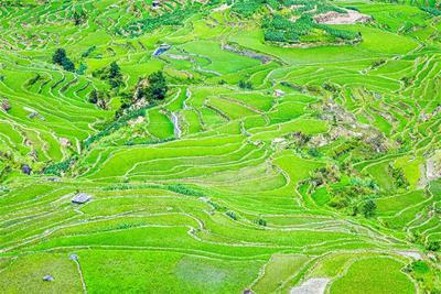 夏至，来北回归线上的红河避暑