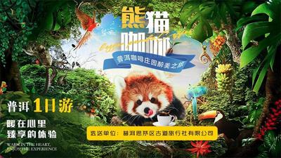 有一种叫云南的生活丨体验一次“熊猫咖咖”普洱咖啡庄园醉美之旅