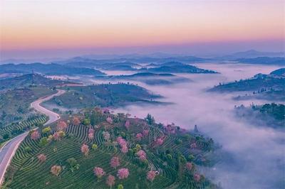 上榜候鸟式养老夏季栖息地，快来普洱体验“诗意地栖居”！