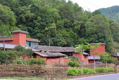 宁洱同心：绿美建设花满蹊，千朵万朵压枝低