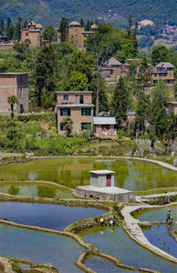 循环往复 生生不息 哈尼梯田：一曲生命的赞歌！