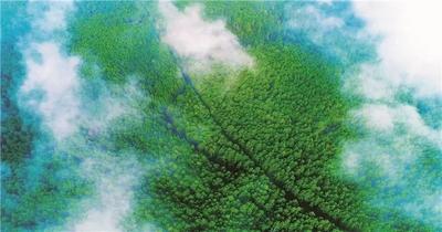 收下这份攻略 暑期到永仁方山就得这么玩儿