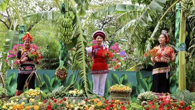 节庆玉溪丨中国·元江第二十届金芒果文化旅游节启幕！